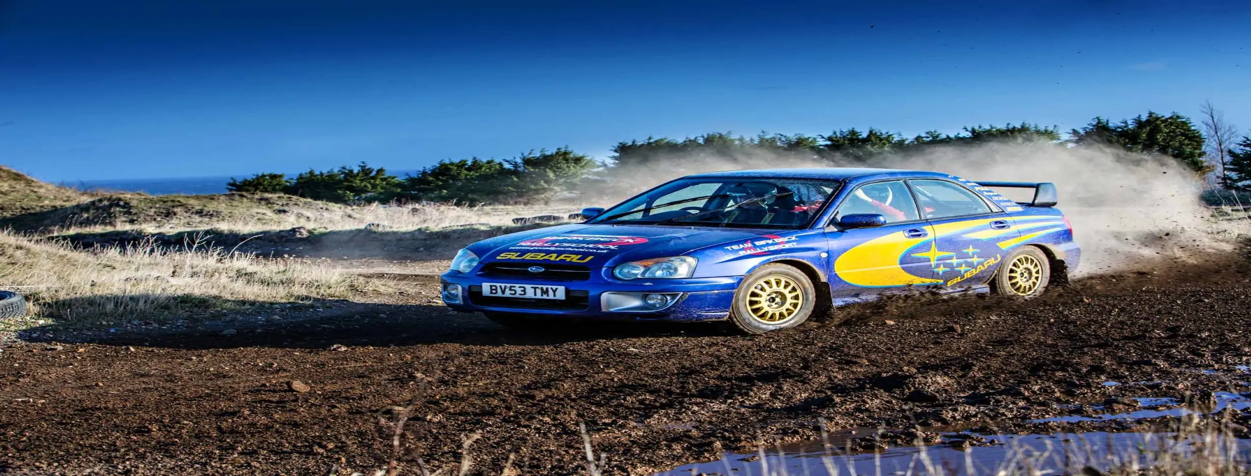 Image for Rally Driving Experience